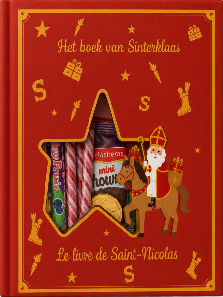 Het grote sinterklaasboek (16st)