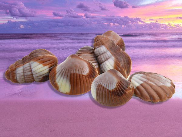 Chocolade zeevruchten