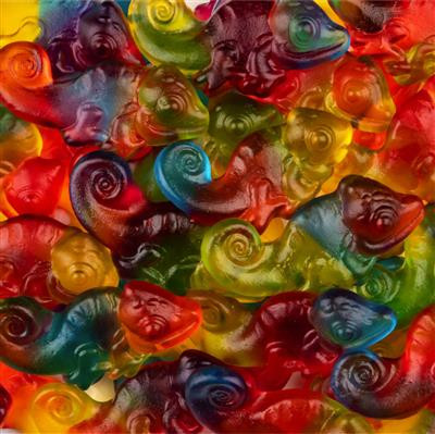 Haribo camelion 3kg